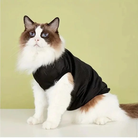 “Trouble Maker” Breathable Mesh Vest T-Shirt Outfit for Mini/Sm Pet Dog (XS) - Picture 3 of 7